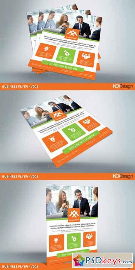 Business Flyer - v005 377299