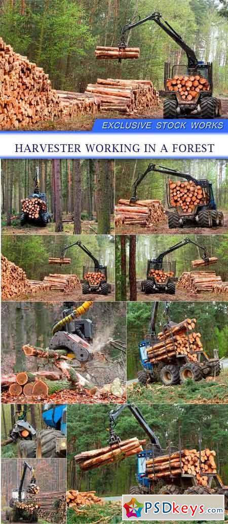 harvester working in a forest 9X JPEG