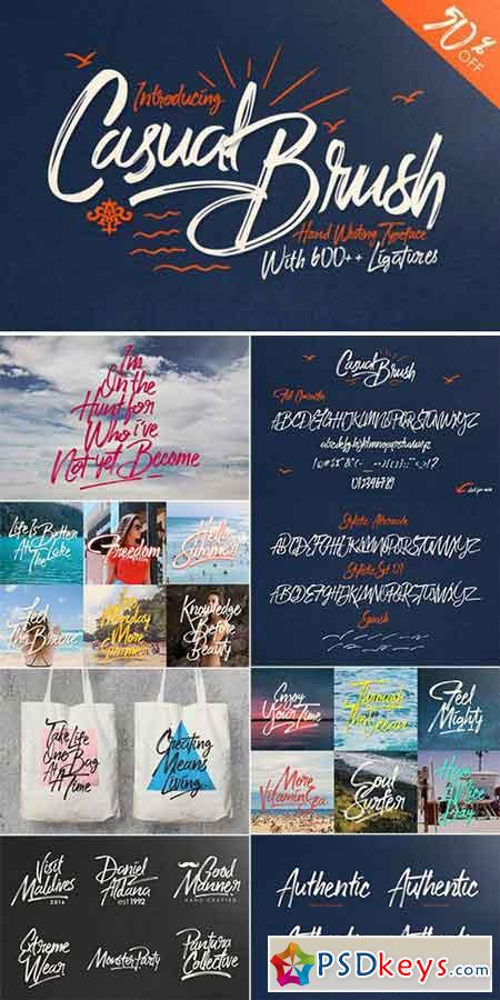 Casual Brush + Swash Script Font 809345