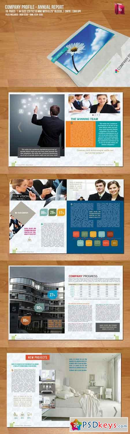 Company Profile - Annual Report 43825