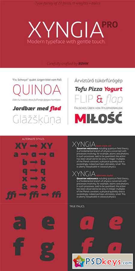 Xyngia Font Family - 22 FONTS $999