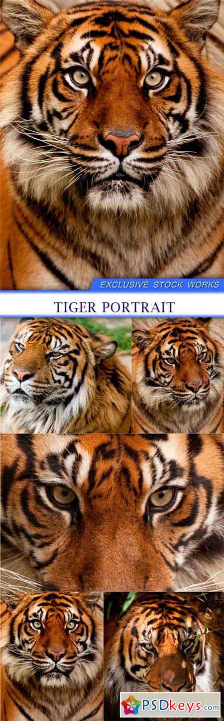 Tiger Portrait 5X JPEG