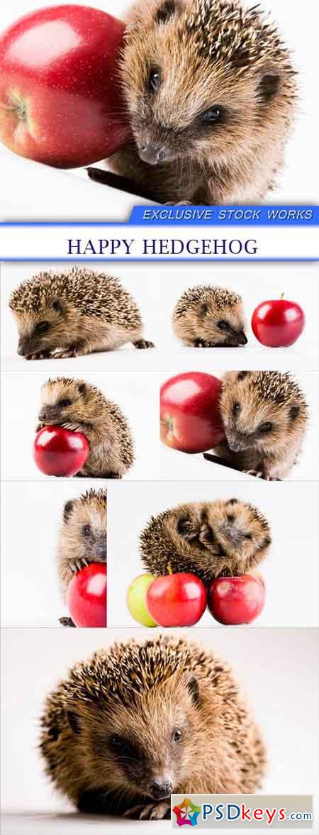 Happy hedgehog 7X JPEG