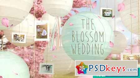 The Blossom Wedding - Photo Gallery Slideshow - After Effects Projects