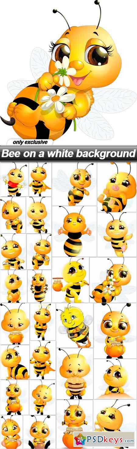 Bee on a white background - 28 EPS