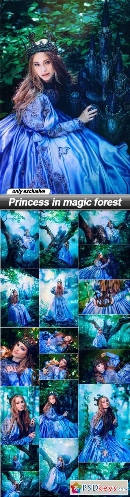 Princess in magic forest - 19 UHQ JPEG