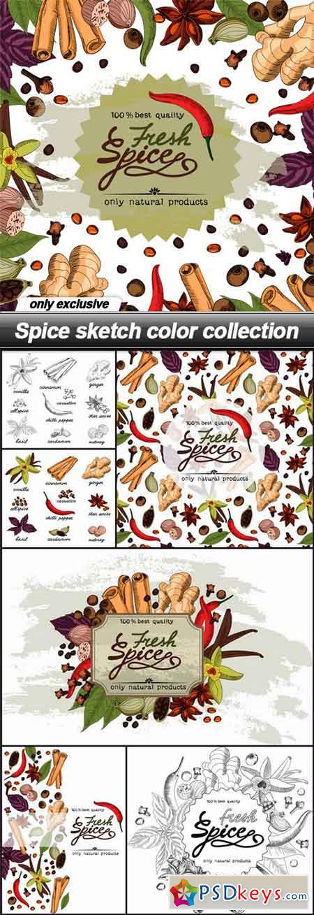 Spice sketch color collection - 7 EPS