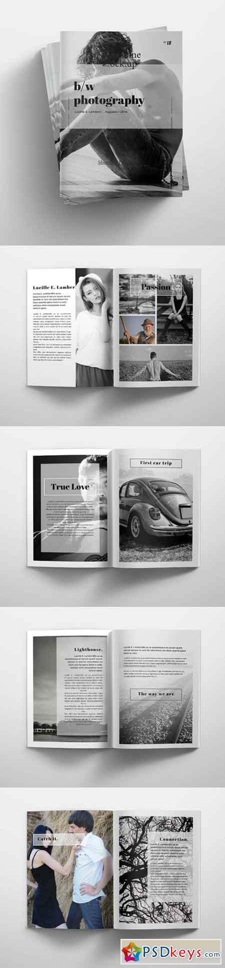 Minimal Photography Brochure 867897