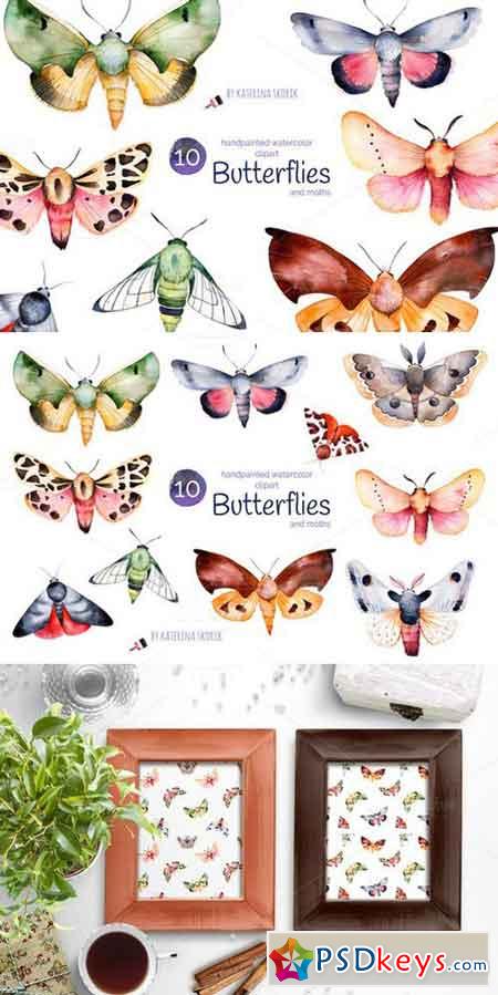 Butterflies and moths 863983