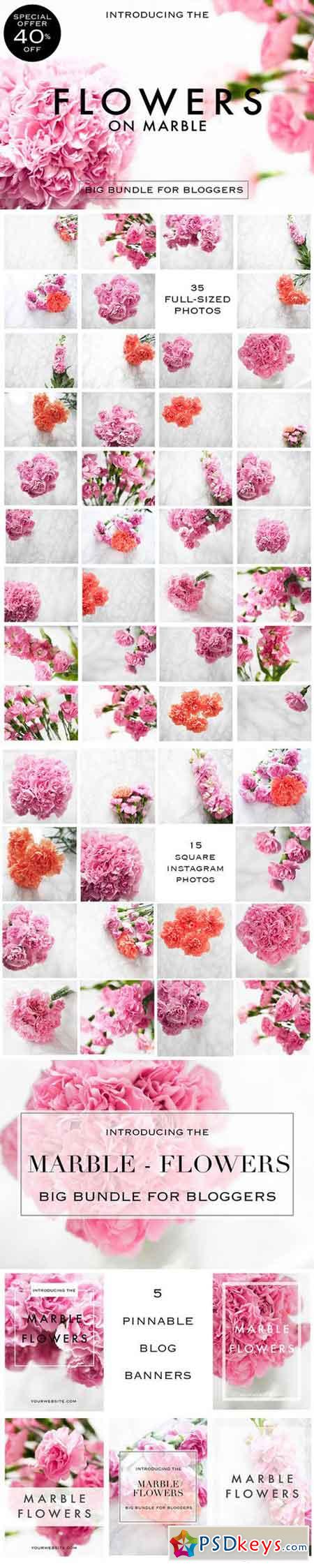 Styled photos flowers edition 568336