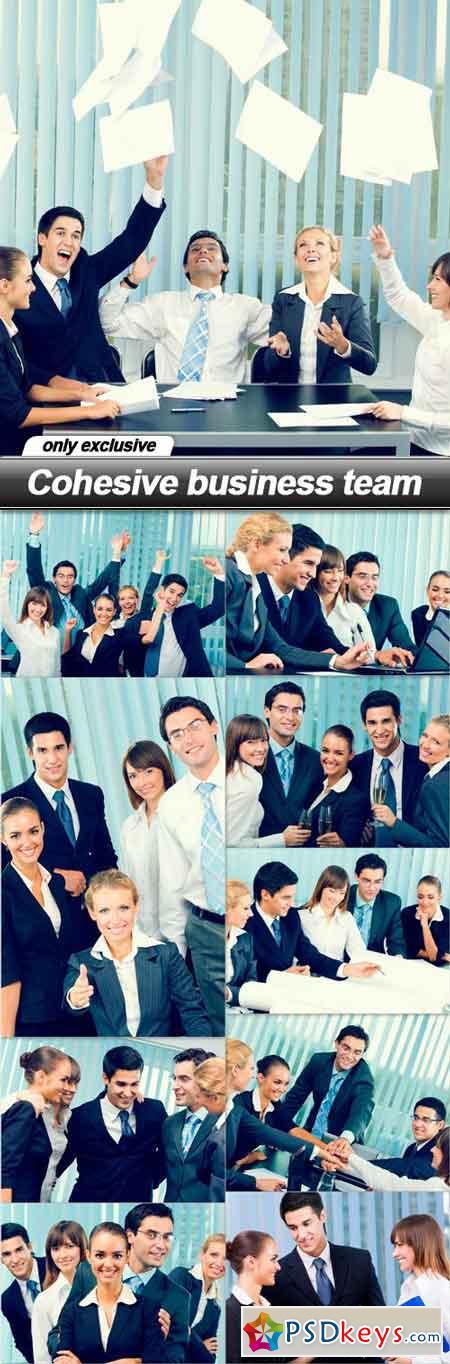 Cohesive business team - 10 UHQ JPEG