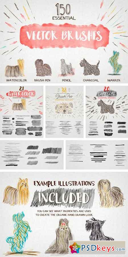 Essential Vector Brushes Collection 894800