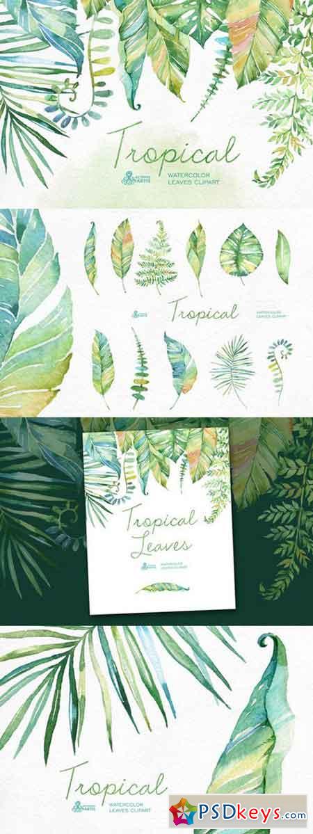 Tropical watercolor leaves 302884