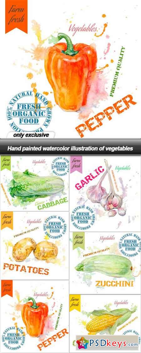 Hand painted watercolor illustration of vegetables - 6 EPS