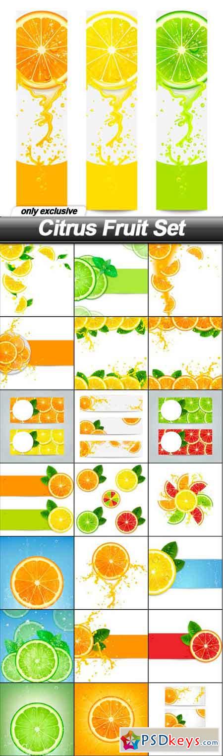 Citrus Fruit Set - 22 EPS