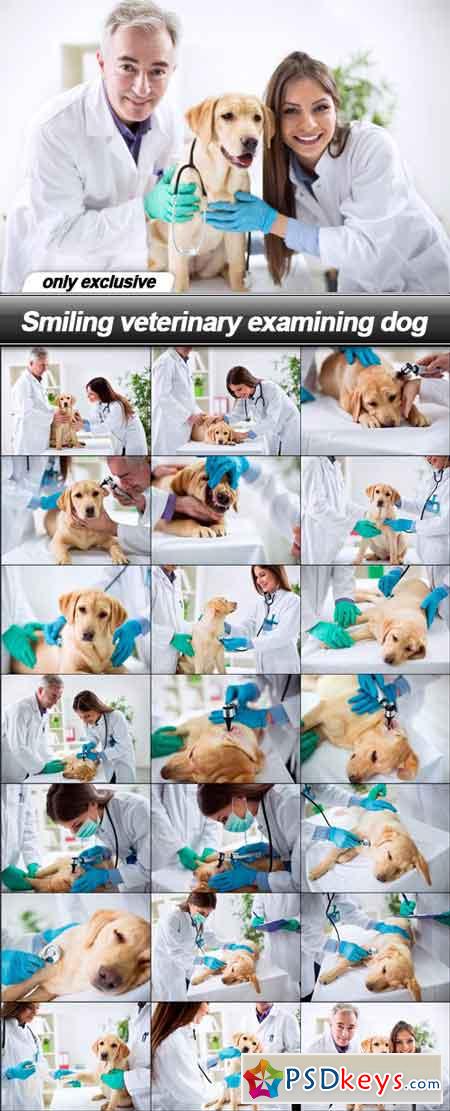Smiling veterinary examining dog - 21 UHQ JPEG