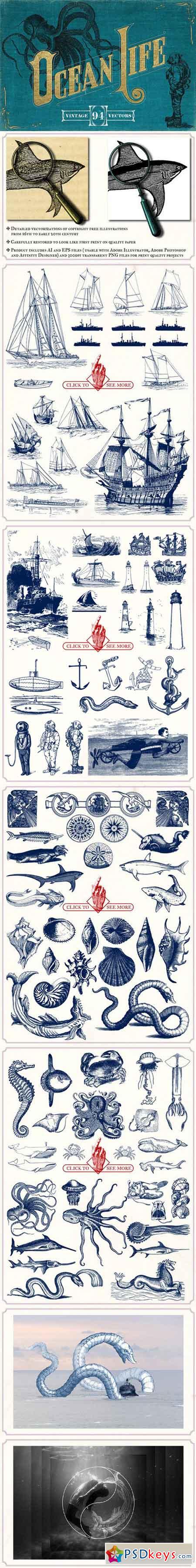 Vintage Nautical Illustrations 797184
