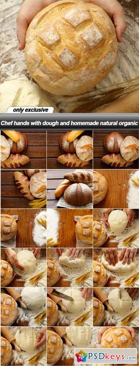 Chef hands with dough and homemade natural organic - 18 UHQ JPEG