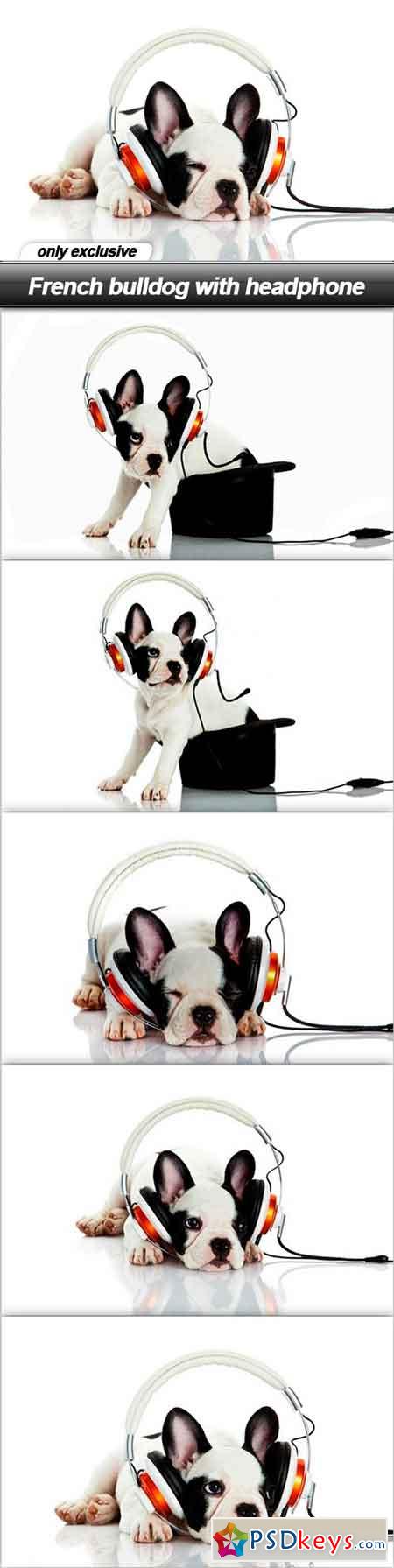 French bulldog with headphone - 6 UHQ JPEG