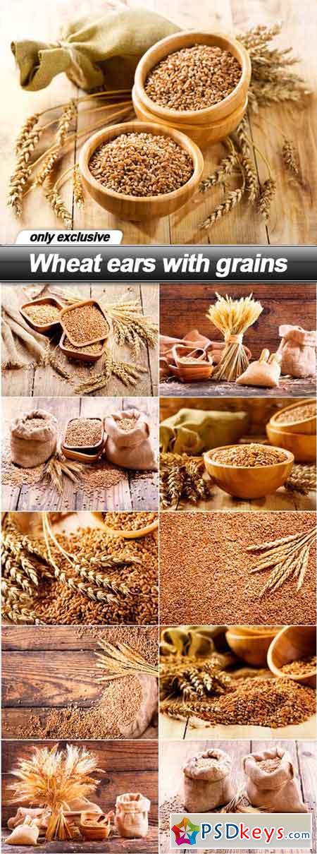 Wheat ears with grains - 11 UHQ JPEG
