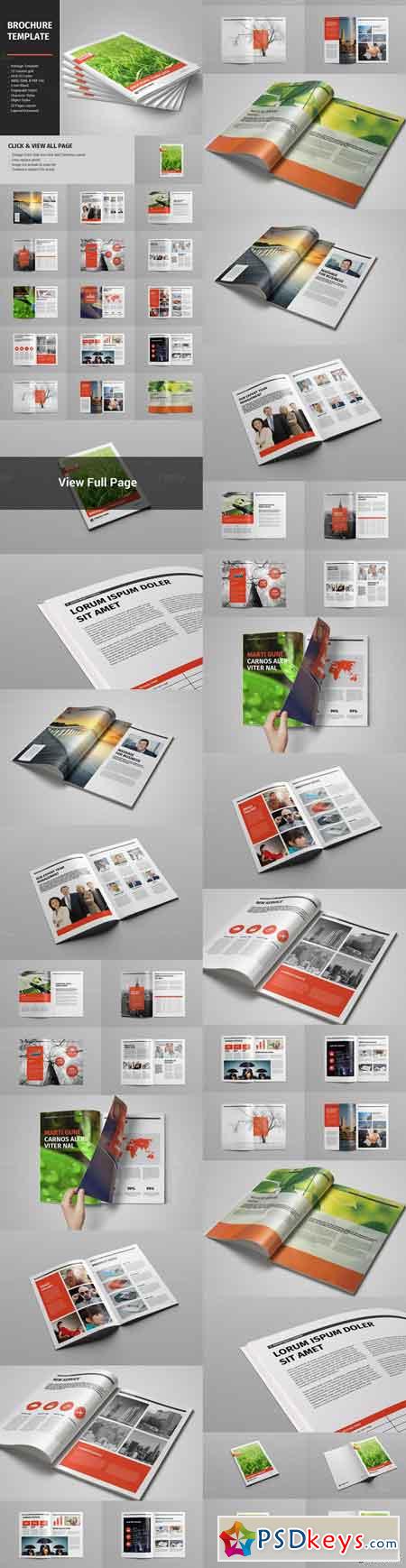 Brochure Template 877944