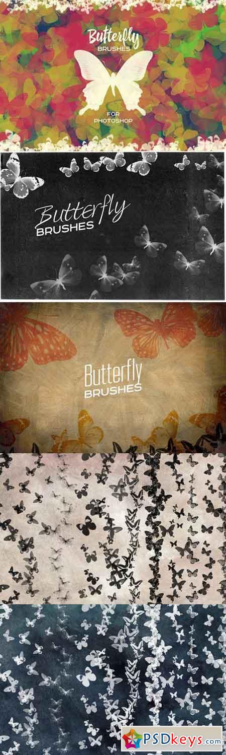 Butterfly Brushes For Photoshop 806478