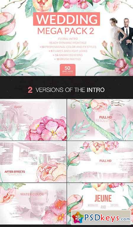 Wedding Mega Pack 2 12701122 - After Effects Projects
