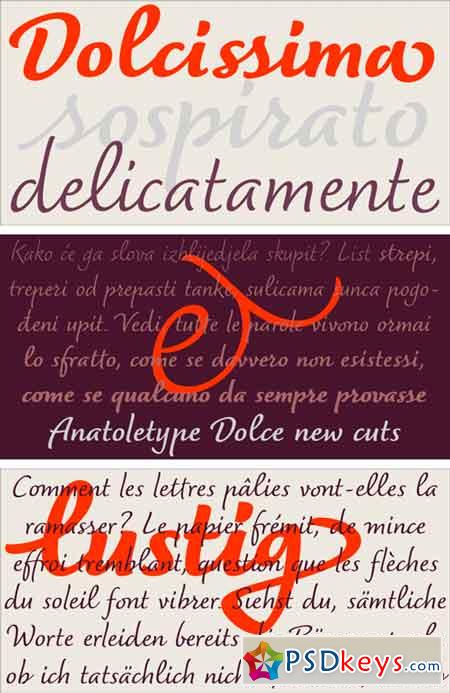 Dolce Font Family