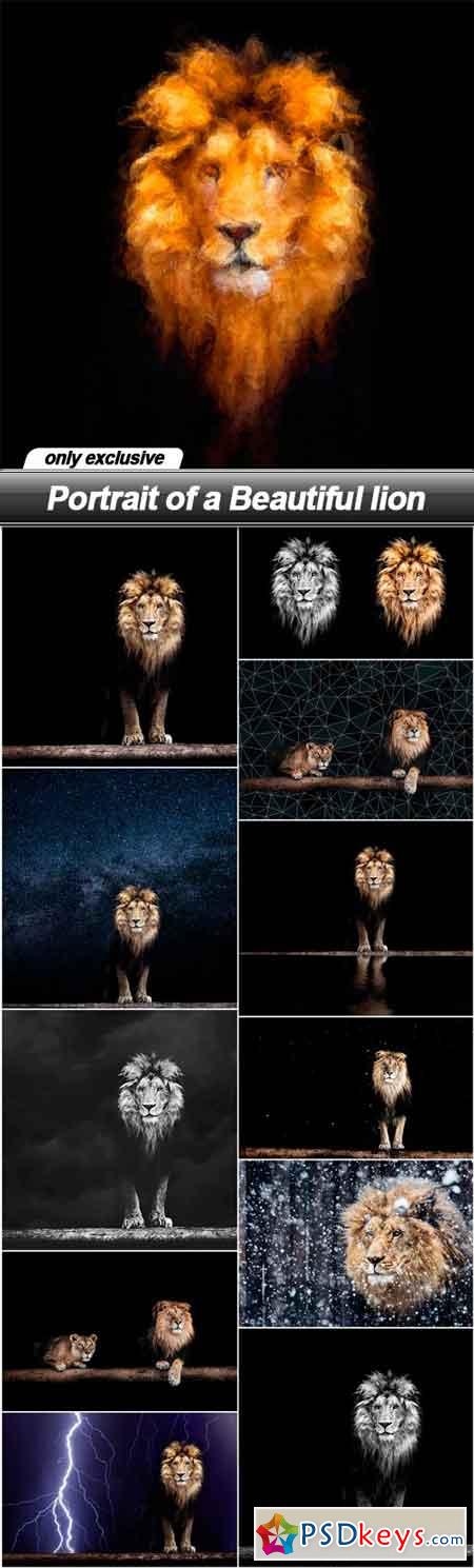 Portrait of a Beautiful lion - 12 UHQ JPEG