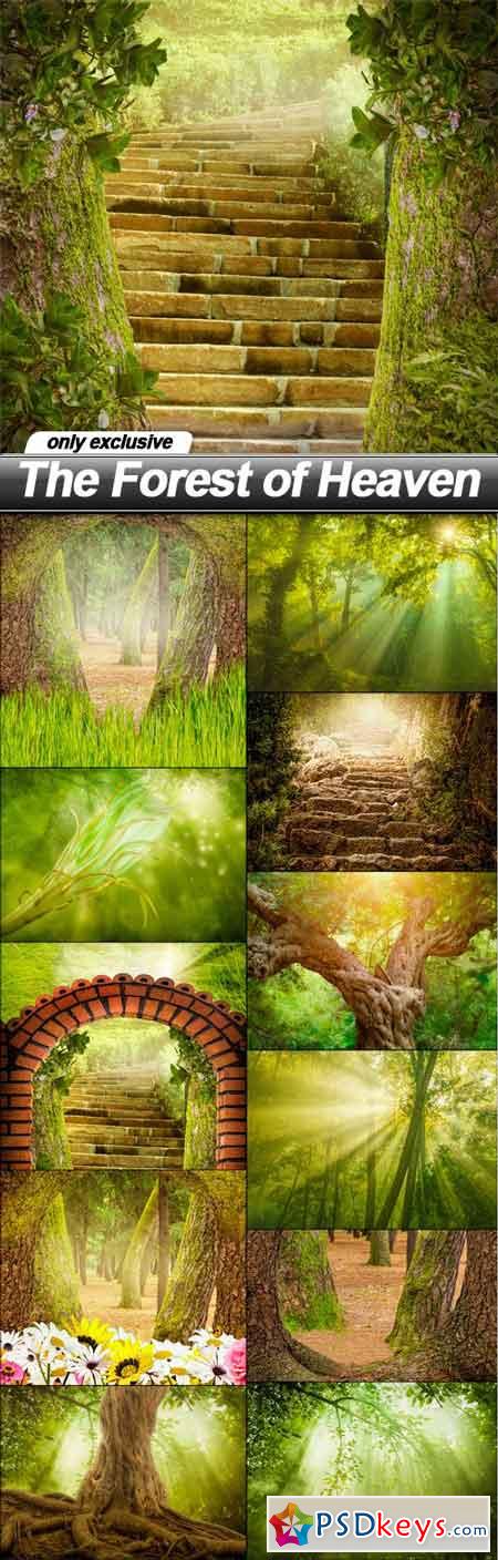 The Forest of Heaven - 12 UHQ JPEG