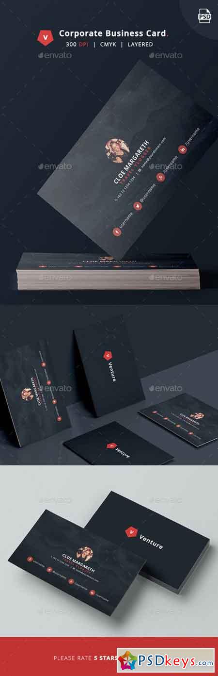 Corporate Business Card - Venture 14460164