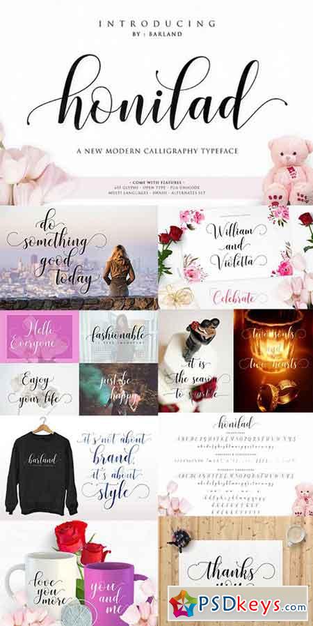 Honilad Calligraphy Typeface 1042175