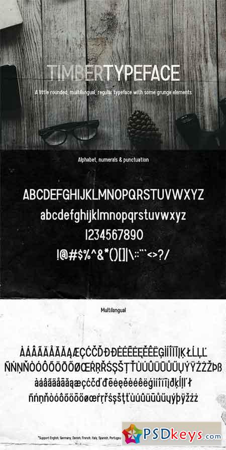Timber Typeface 1090425