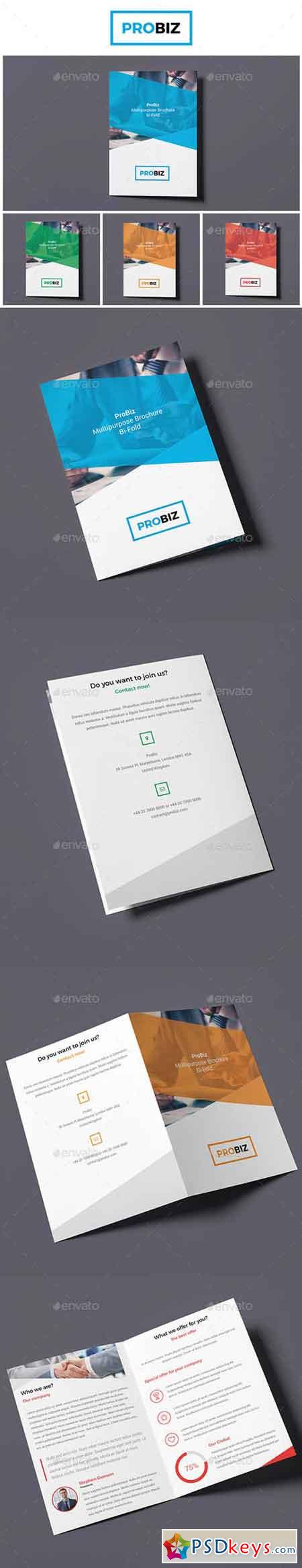 ProBiz  Business and Corporate Brochure Bi-Fold 19050715