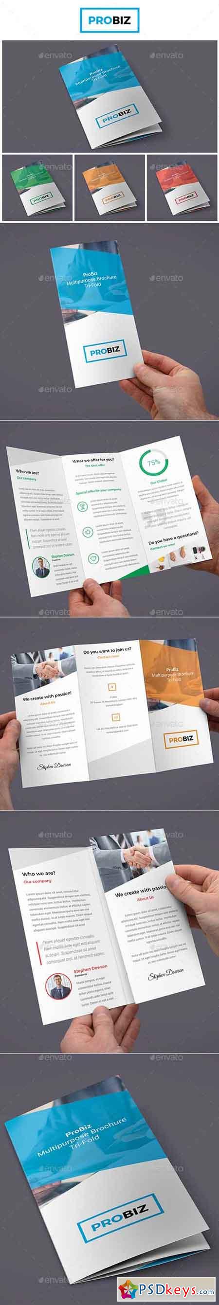 ProBiz  Business and Corporate Brochure Tri-Fold 19017576