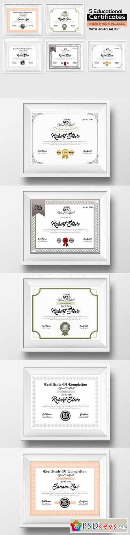 5 Certificate & Diploma Bundle 783079