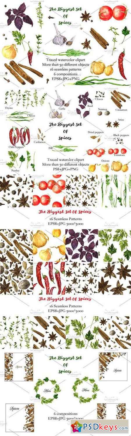 The biggest watercolor set of spices 686299