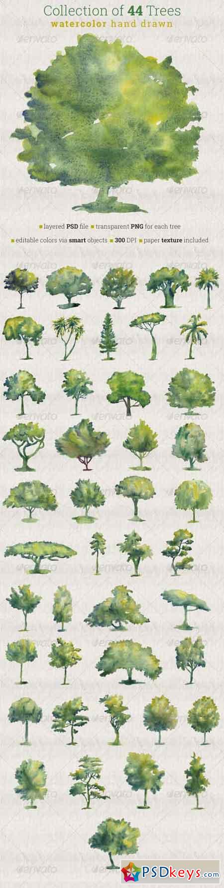 Collection of 44 Watercolor Trees 6762350