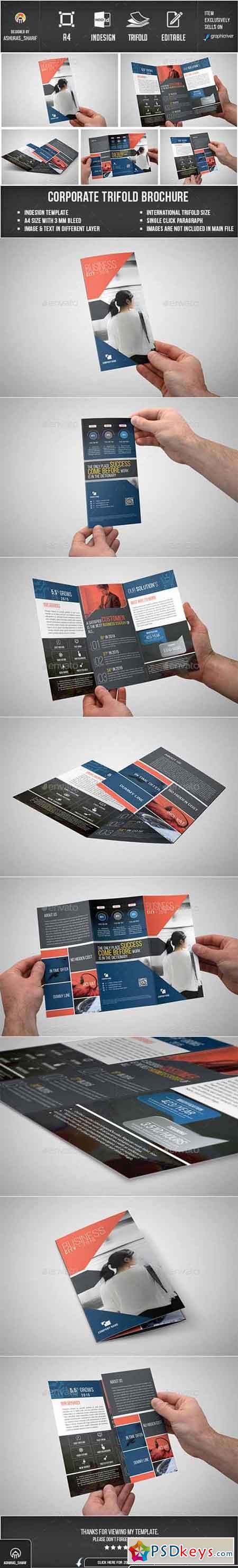 Trifold Brochure 12925938