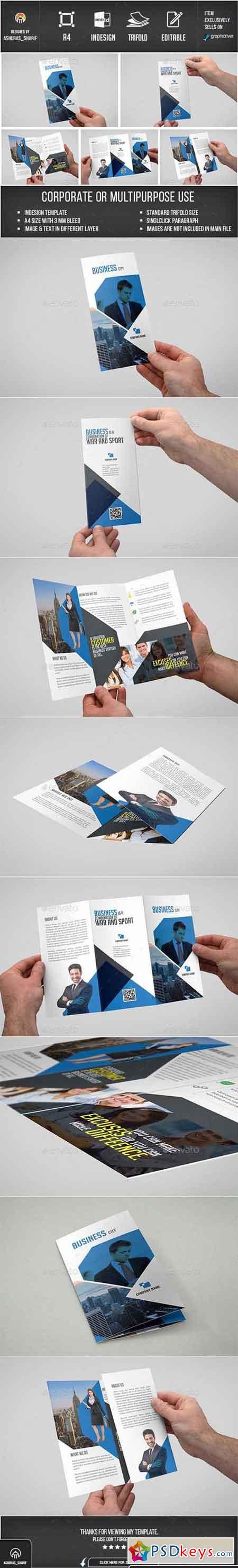 Trifold Brochure 12596701