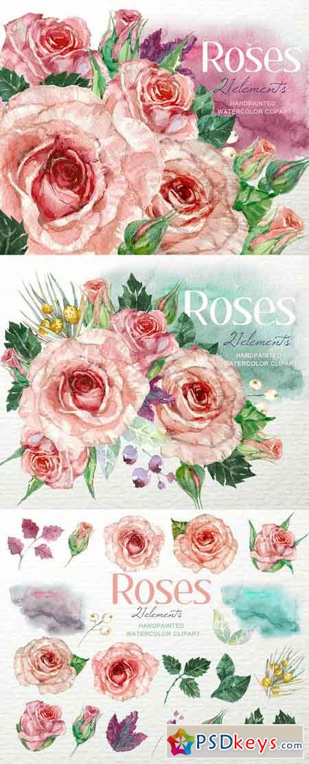 Shabby Roses Watercolor Clipart F-39 964259