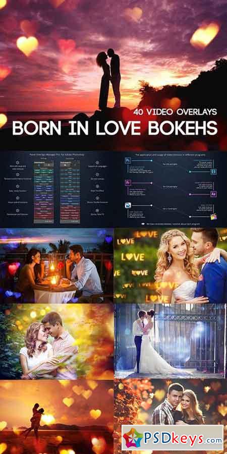 Born in Love Bokehs 803964