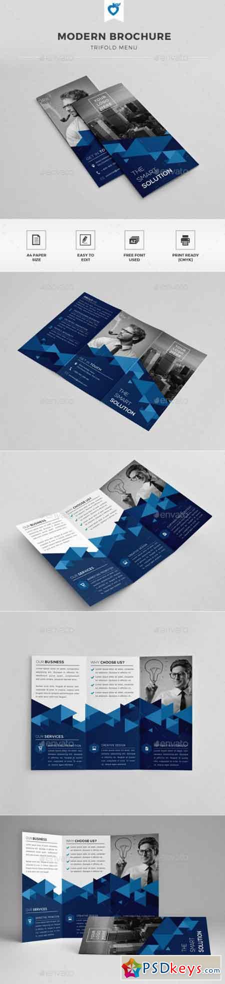 Trifold Brochure 11812531
