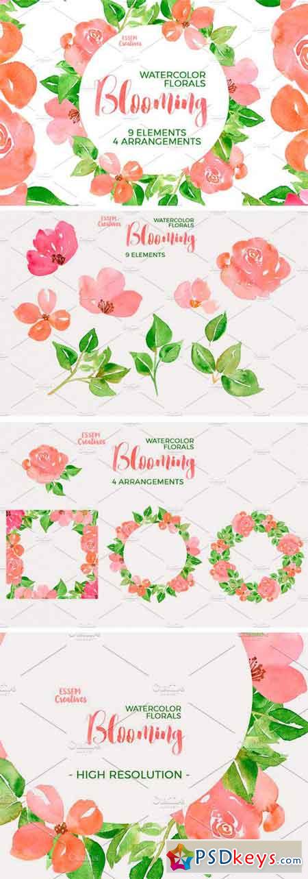 Watercolor Flowers - Spring Peonies 1149502