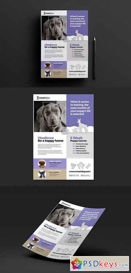 A4 Puppy School Poster Template 1198977