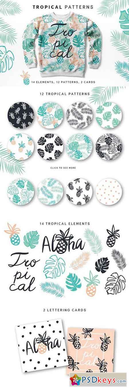 Tropical patterns 1173363