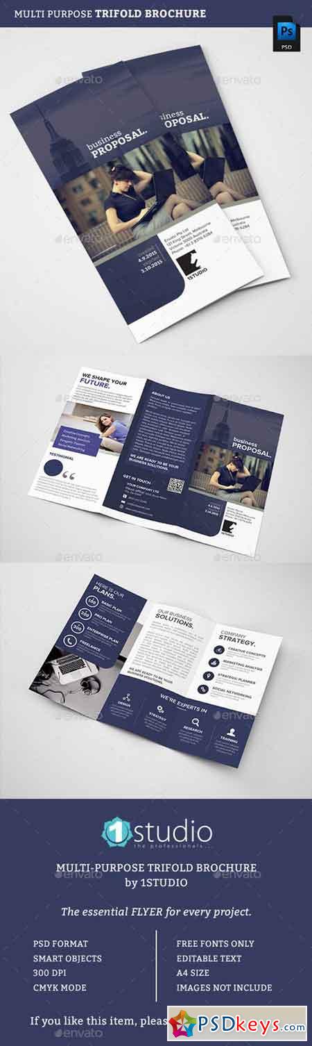Trifold Brochure 12776450