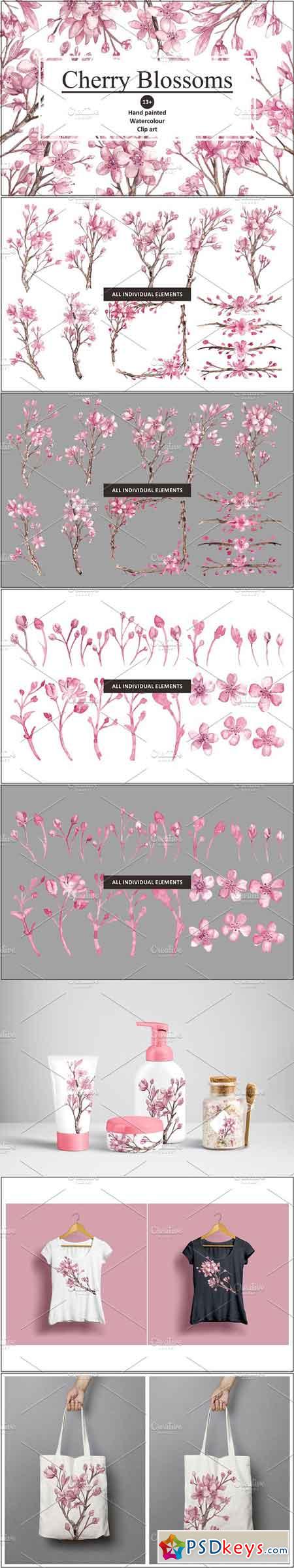 Cherry Blossom Watercolour clipart 1143306