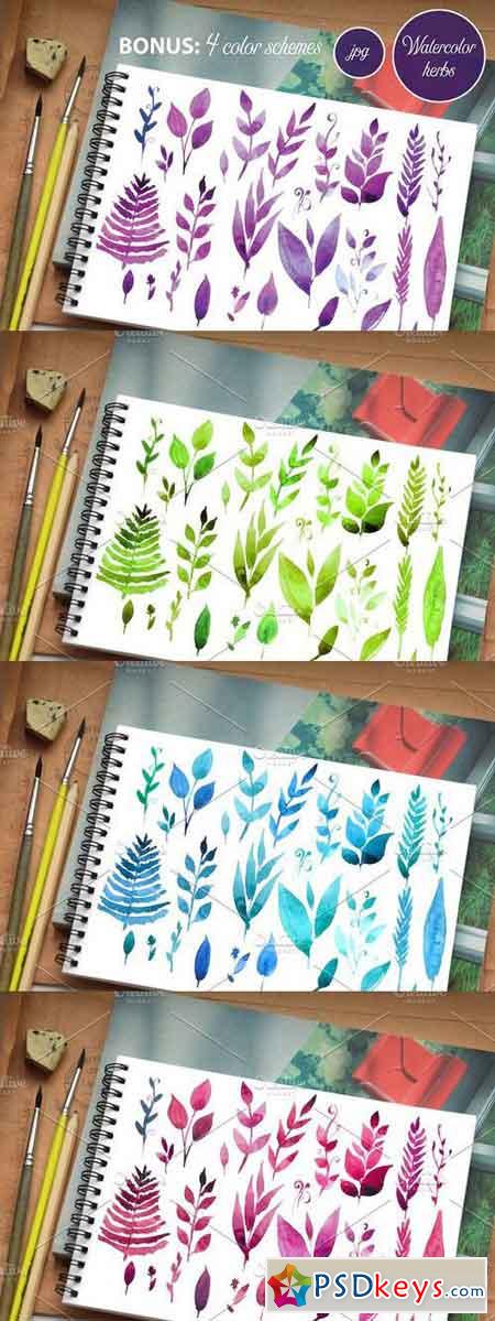 Watercolor Herbs and leaves 1133368