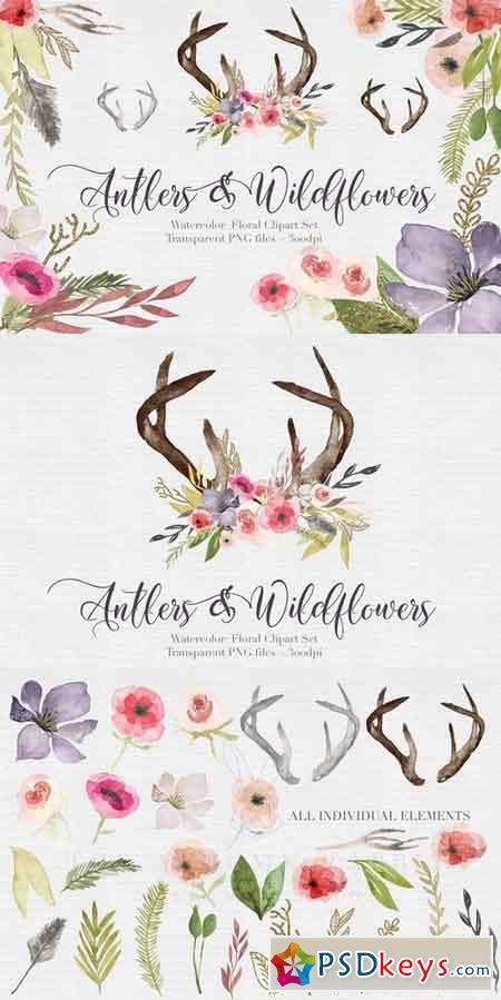 Antlers & flowers Watercolor Clipart 442983